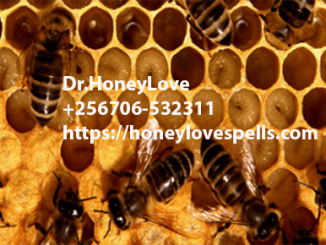 love spells,lost love spells,authentic love spells,Real Love Spells,true love spells,Spell to Make Someone Fall in Love,Spells To Remove Marriage and Relationship Problems,Truth Love Spells,Spell to Mend a Broken Heart,Rekindle Love Spells,spells to Turn Friendship to Love,Lust Spell and Sex Spells,Spells to Delete the Past,voodoo love spells,black magic love spells,witchcraft love spells, Attraction Spells,Powerful Attraction Love Spells,love spells,Attraction love Spells,black magic Attraction Spells,beauty and Attraction Spells,easy love Attraction Spells,magic spells for attraction,witchcraft Attraction Spells,Wicca Attraction Spells,voodoo Attraction Spells,real Attraction Spells,lust Attraction S