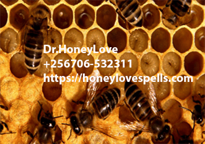 Honey bee spell love spells,lost love spells,authentic love spells,Real Love Spells,true love spells,Spell to Make Someone Fall in Love,Spells To Remove Marriage and Relationship Problems,Truth Love Spells,Spell to Mend a Broken Heart,Rekindle Love Spells,spells to Turn Friendship to Love,Lust Spell and Sex Spells,Spells to Delete the Past,voodoo love spells,black magic love spells,witchcraft love spells, Attraction Spells,Powerful Attraction Love Spells,love spells,Attraction love Spells,black magic Attraction Spells,beauty and Attraction Spells,easy love Attraction Spells,magic spells for attraction,witchcraft Attraction Spells,Wicca Attraction Spells,voodoo Attraction Spells,real Attraction Spells,lust Attraction S