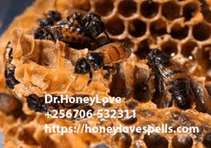 Read more about the article honey jar spell for  love in CANADA