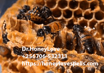 You are currently viewing Honey love spells in UK