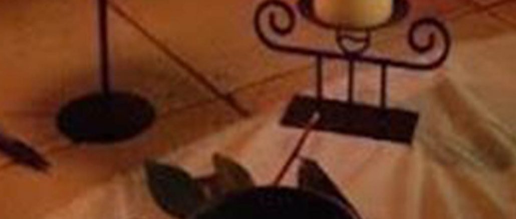 PROFESSIONAL SPELL CASTING